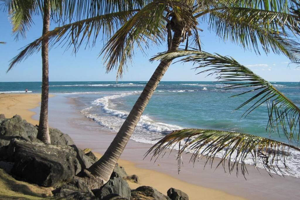 Comfortable And Affordable Deal Close To Beach And Rainforest Río Grande Exterior foto
